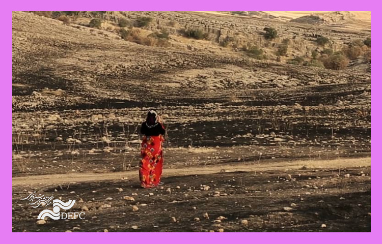 «فریاد بلوط» در شبکه مستند 