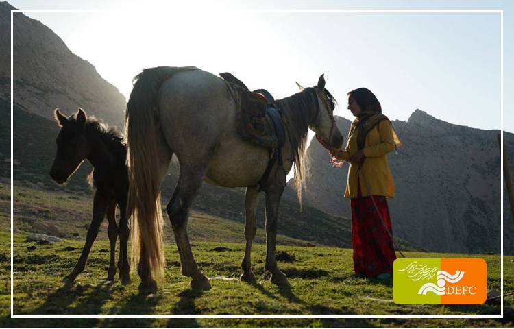 درباره «رویای یک اسب»/ شور نوشتن