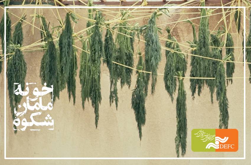 راهیابی «خونه مامان شکوه» به بخش مسابقه جشنواره مسکو