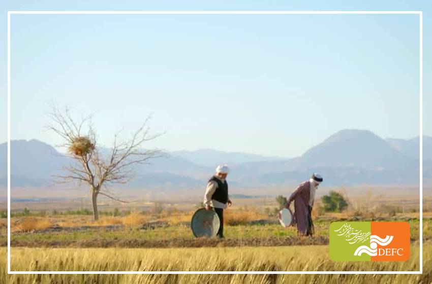 نگاهی به مستند «کاکل»/ علیه فراموشی