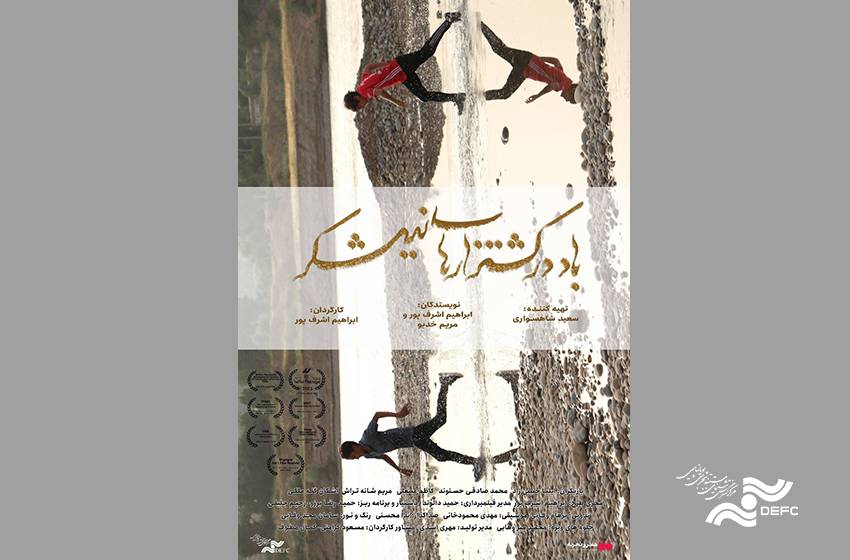 اکران «باد در کشتزارهای نیشکر» در «هنر و تجربه»  