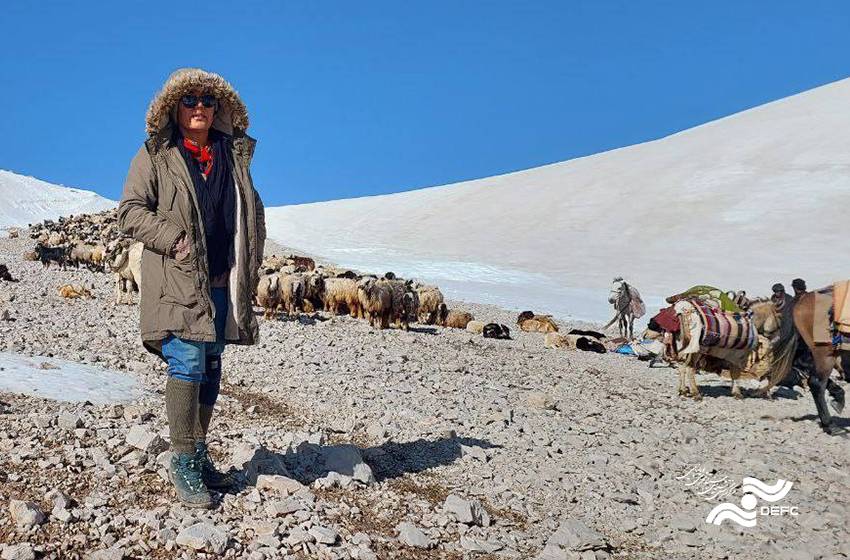 سگ‌های زنده‌یاب در مستندی درباره جنگ ۱۲ روزه/ ماجرای قتل جوان بختیاری مستند شد