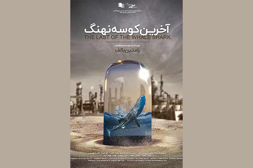تقدیر از کارگردان «آخرین کوسه نهنگ»
