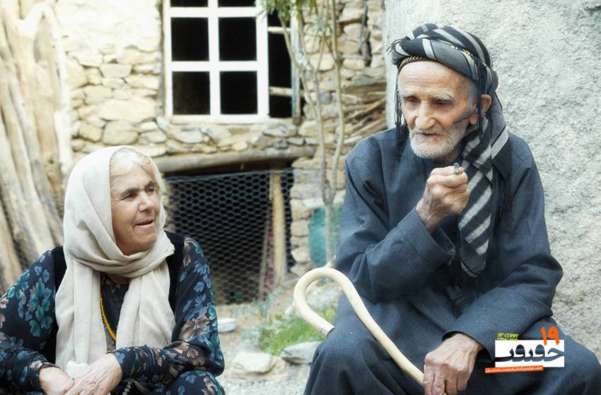 لک لک‌ها بر بام «سینما حقیقت» / مستندی درباره یک همزیستی زیبا