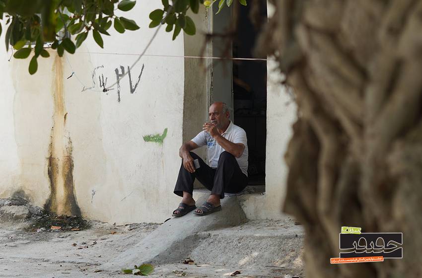 هیاهویی که در دریا غرق شد/ نگاهی به مستند «زیر درخت لور»