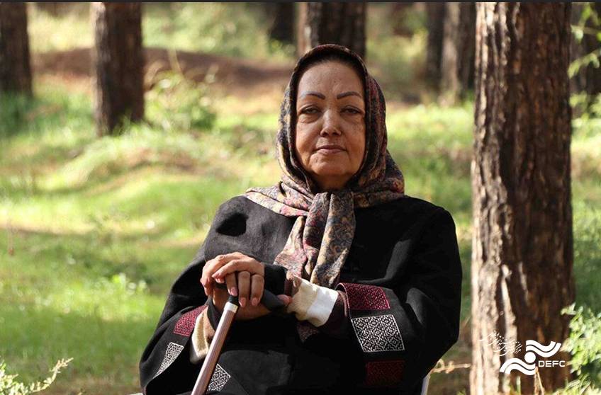 راز جنگل قائم؛ اراده‌ای که بیابان را متوقف کرد