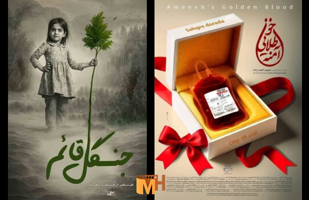 از توجه مردم کرمان به «جنگل قائم» تا تولد یک فیلم در گورستان