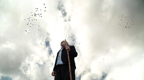 «علی آقا» به «سینماحقیقت» می‌آید